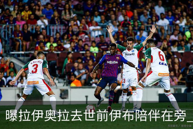 曝拉伊奥拉去世前伊布陪伴在旁 两人合作多年